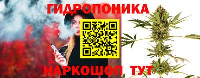стафф Тулун