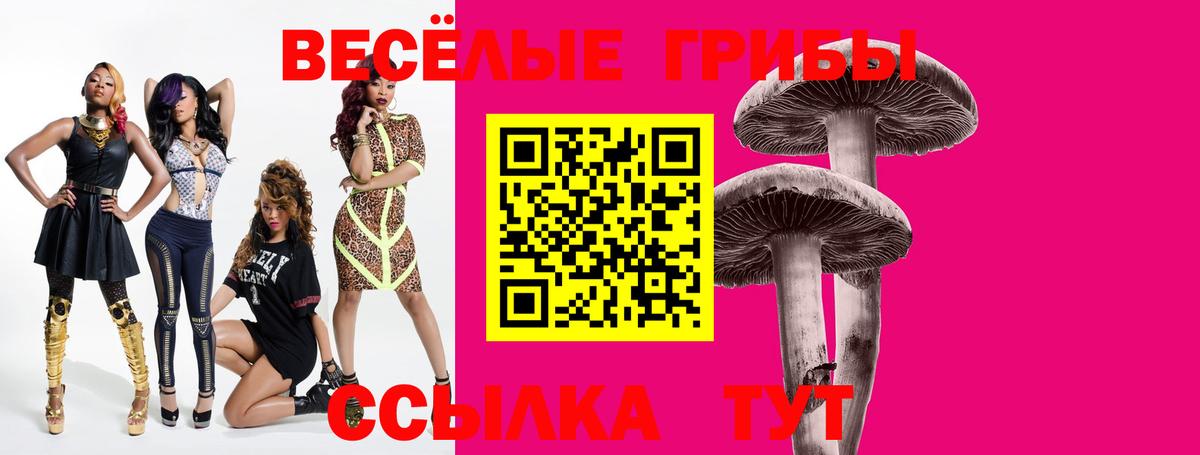 Галлюциногенные грибы ЛСД  Псилоцибиновые грибы мухоморы  Серов  Вход с VPN 