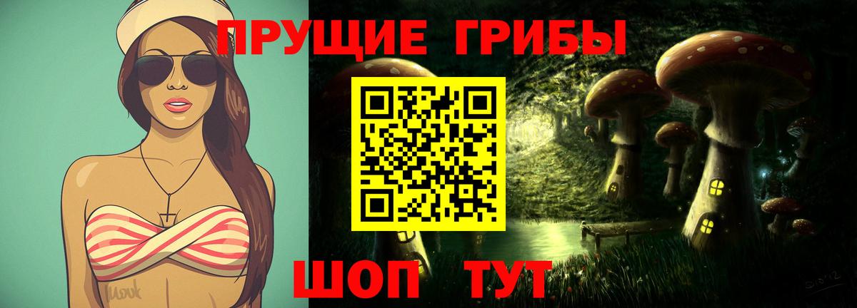 Псилоцибиновые грибы GOLDEN TEACHER Серов